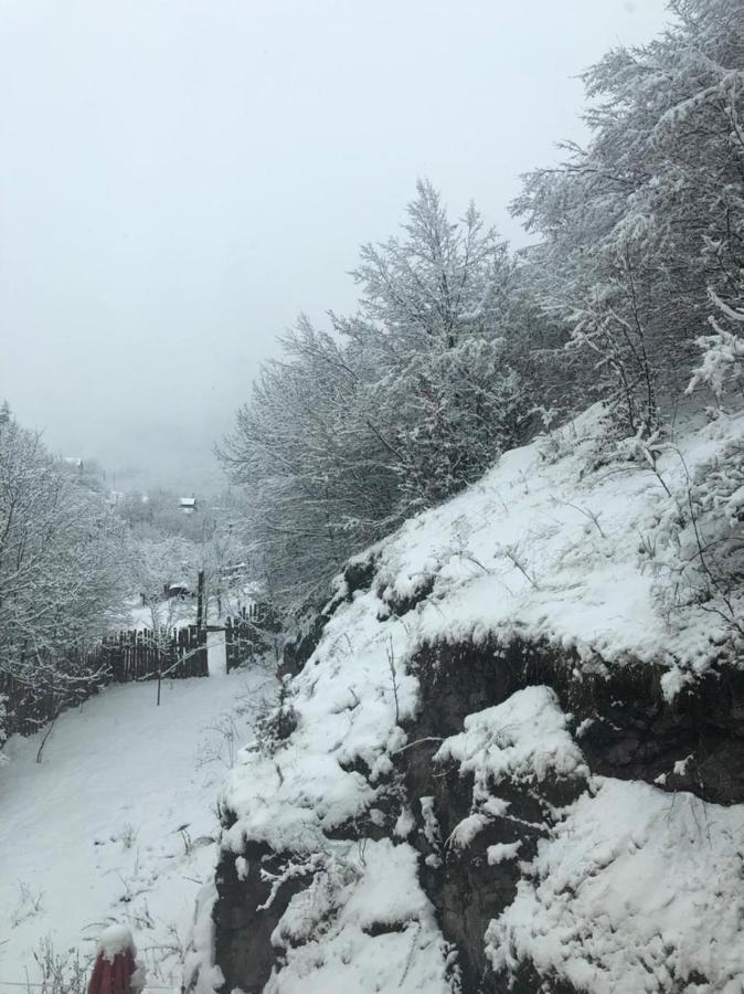 Popock Dilijan 2 Bed and Breakfast Buitenkant foto